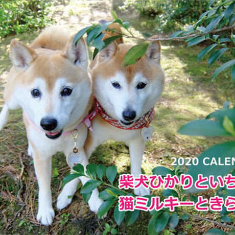5d91c283bc45ac38f552a49d