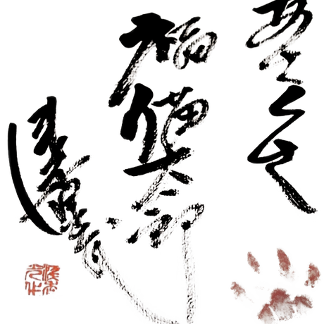 5cc53872686ee249a378e629