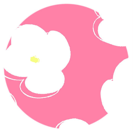5ca565abe233da452f47890a