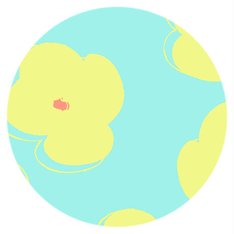 5ca565abe233da452f47890a