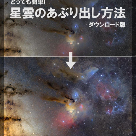 591a3343428f2d263d005f71