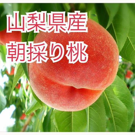 55771c883cd4825c40000375