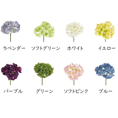 5ea45afbcee9ea18a019a30c