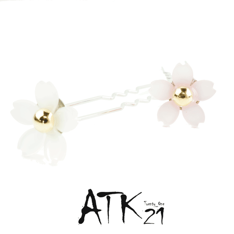 5ab8ab565f786608c5001d6e