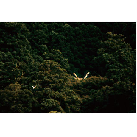 5934fcb63210d517c70017a5