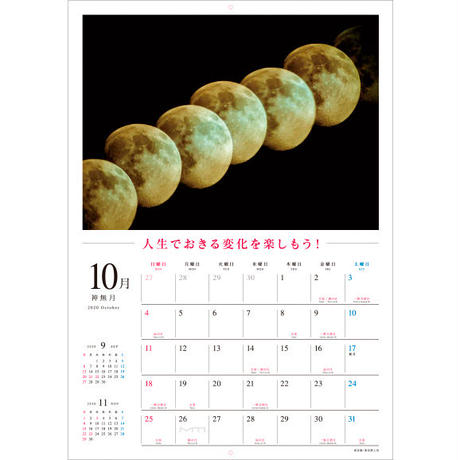 5d82f1615aa9382fc7106ca7