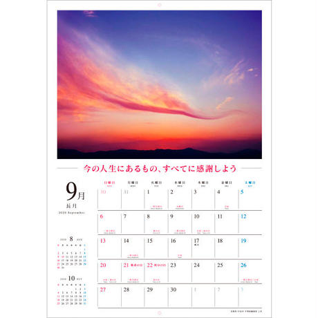 5d82f1615aa9382fc7106ca7