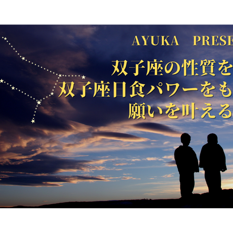 双子座 Stores 双子座 Stores