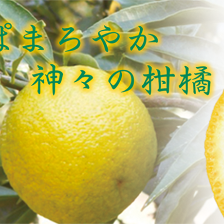 58a68ec741f8e8e0fe007d99