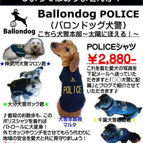 51e51af29de2f069cc000012