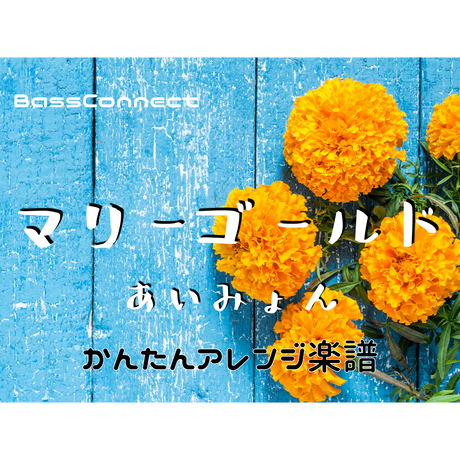 5c887d48164eb15611e101bd