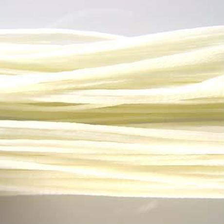 5dc66105e39007208b5b54f9