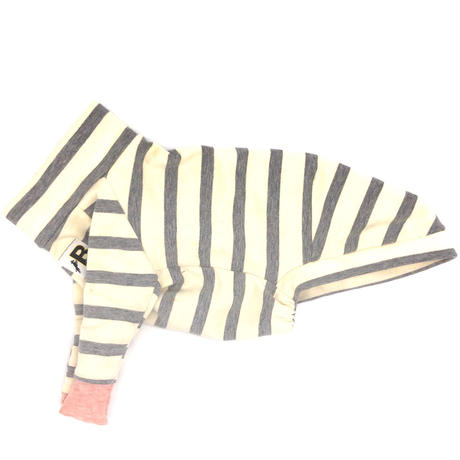 5d7cac1ae4fc392fb946dab2
