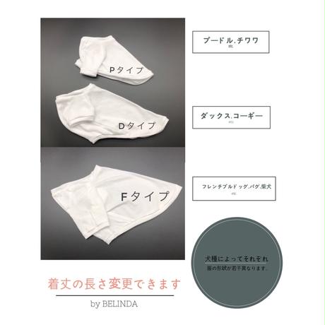 5cac28dab9d5f43c9be40148