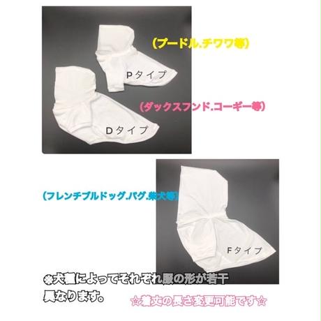 5ca4c20c0686f37bb88e2d2f