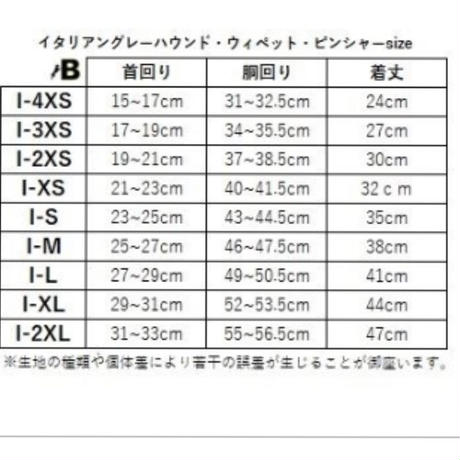 5dcff93ba3423d29f7e16ea6