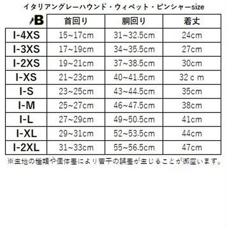 5db574075b61b41133761324