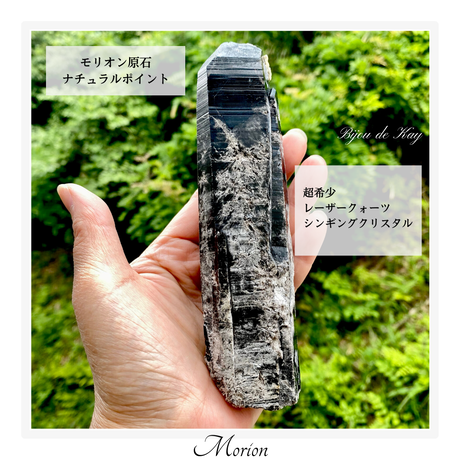 モリオン | STORES