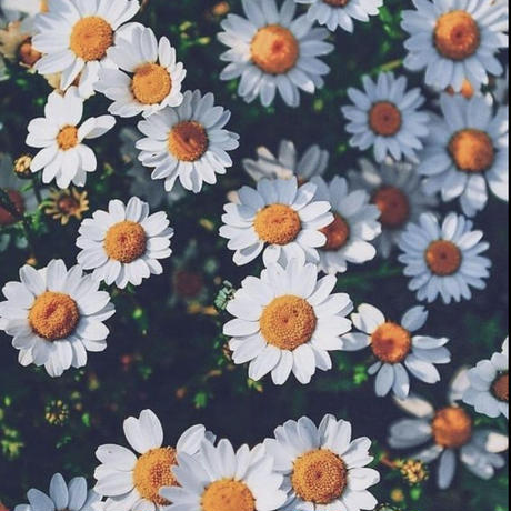5f50e8f2f9c5907ae47ab1e5