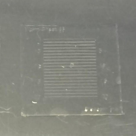5c749061c2fc284c21994fc1