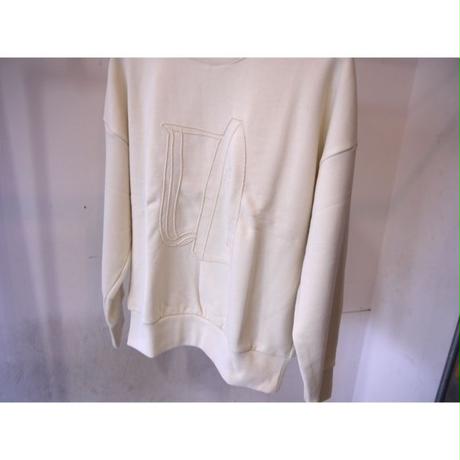 579dd67a00d33193d900632a