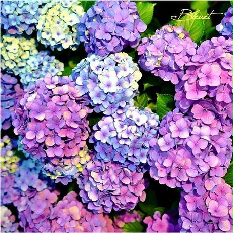 5d88b567bc45ac1f1e69d274