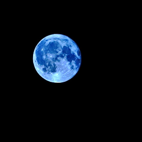 5d88b079bc45ac169869b82c