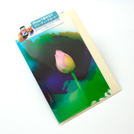 51d9057b9de2f00ace0010b9