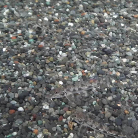 5c4d4ffdb504f574575208f9