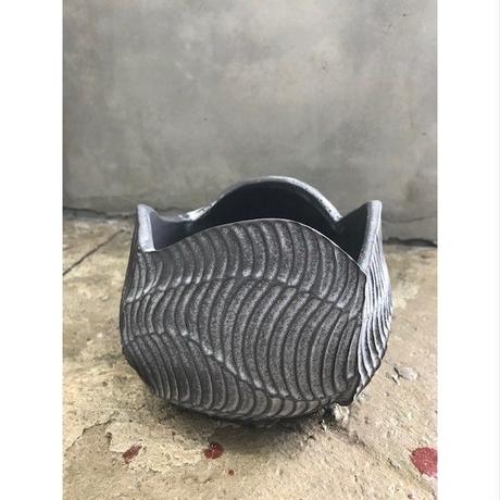 5d009d7b2bb2b21ef01022fb