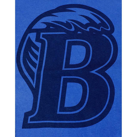 5b5173f150bbc344ca0001af