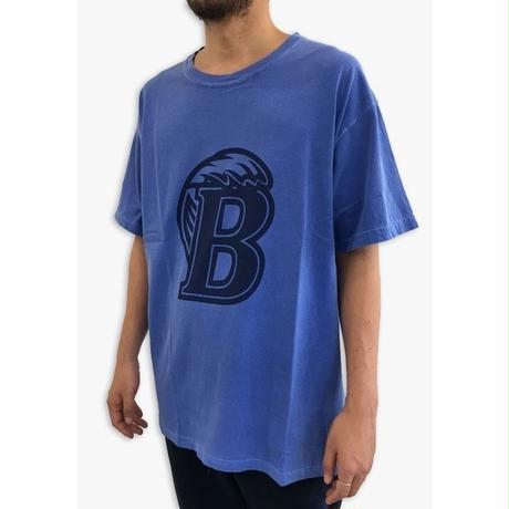 5b5173f150bbc344ca0001af