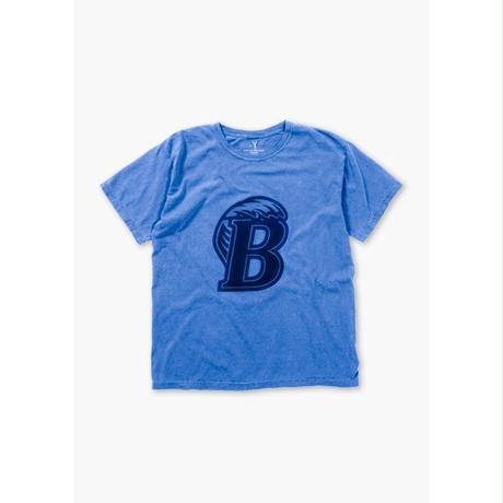 5b5173f150bbc344ca0001af