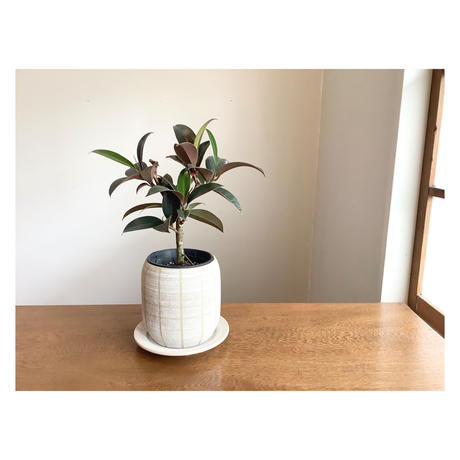 耐熱 二層 足あとぐらす (M) 大サイズ kikko 別注 鉢 スタッズ scar