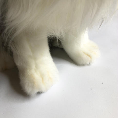5f268724d7e1d81cf901bf45