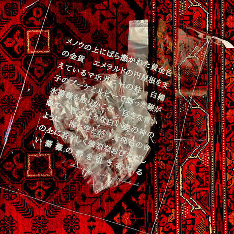 5ea429d372b9116ecfa0c74c