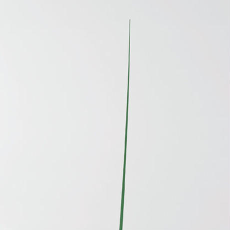 5b3ce4ad5496ff144300354a