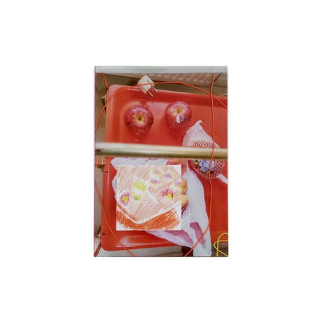 5bdd725b5496ff62ef0001e1