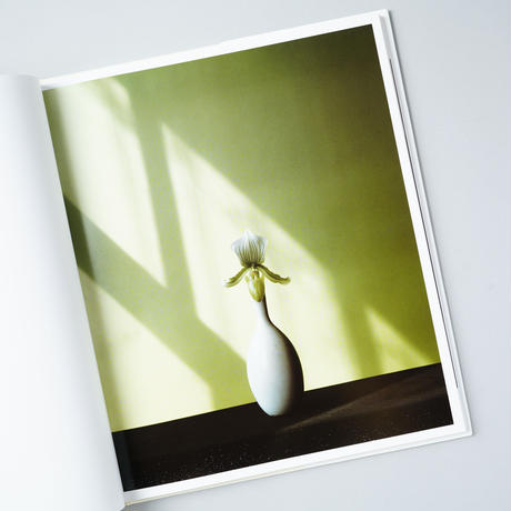 ロバート メイプルソープ Stores