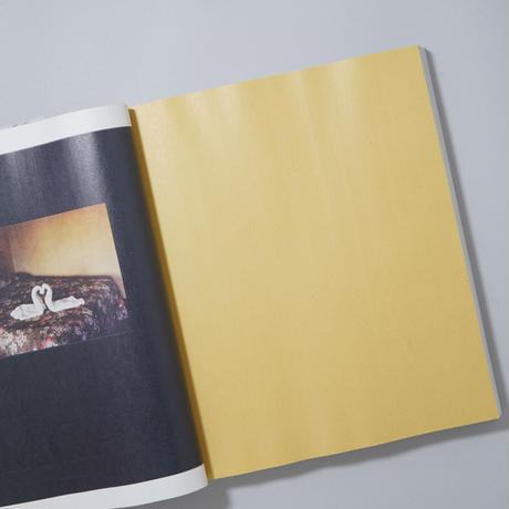 [新刊/New] GATHERED LEAVES ANNOTATED (JAPANESE EDITION) / Alec Soth(アレック・ソス)