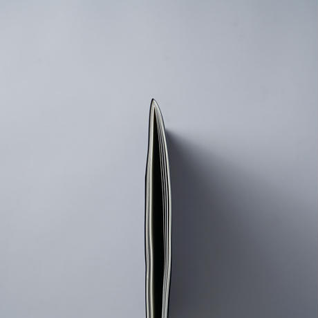 5f0ae9c4a448e10435b64ee3