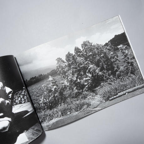 5d3150f766d86c19657e84da