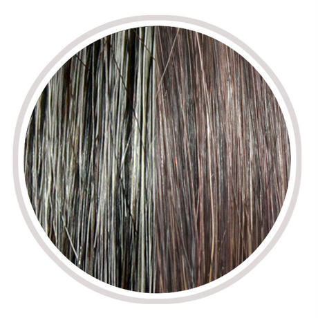 59d089e9f22a5b72c1003e21