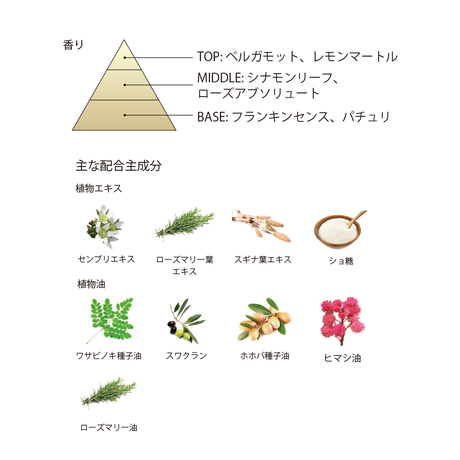 5c8cb0c1164eb12ae01e5b1b