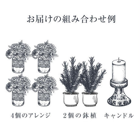 5b3b5db4ef843f7d76000fe7