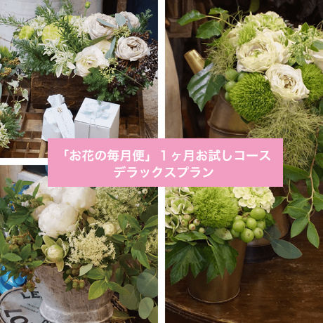 5db2671c5b61b4617ba915e4