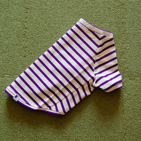 58afb86ea458c041a8000405