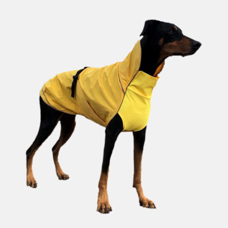 大型犬服 Stores