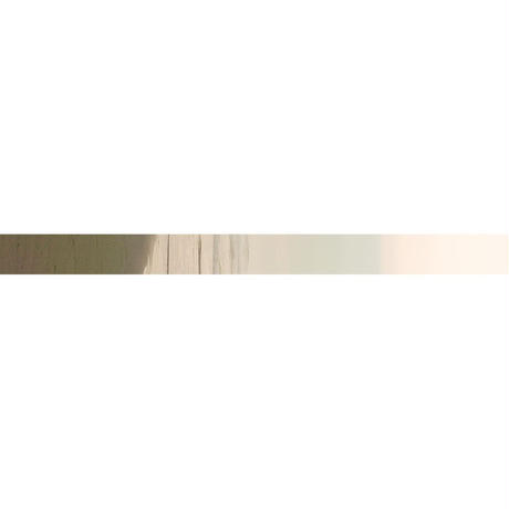 5937b6f9c8f22c1a93000172
