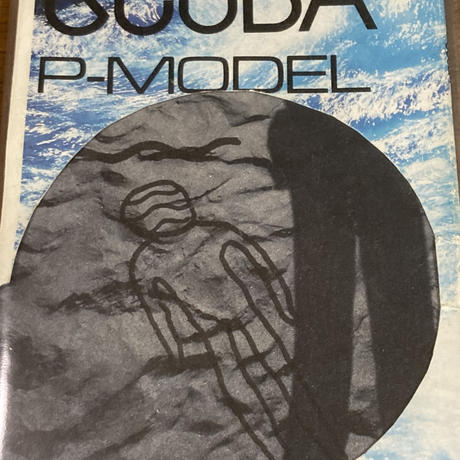 Pmodel Stores
